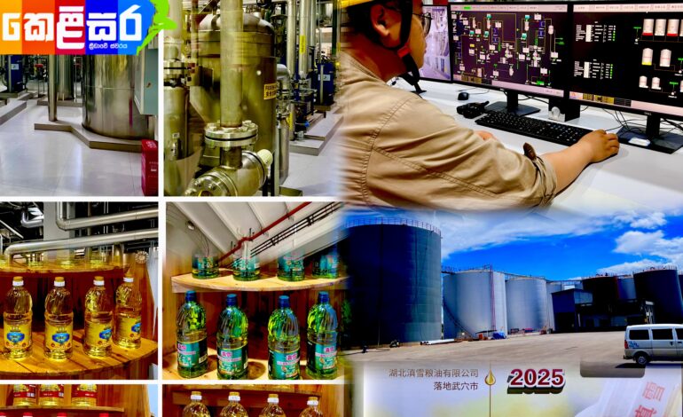 Central Yunnan Edible Oil Production Facility: A High-Efficiency Agro-Industrial Engine within the Logistics Hub
