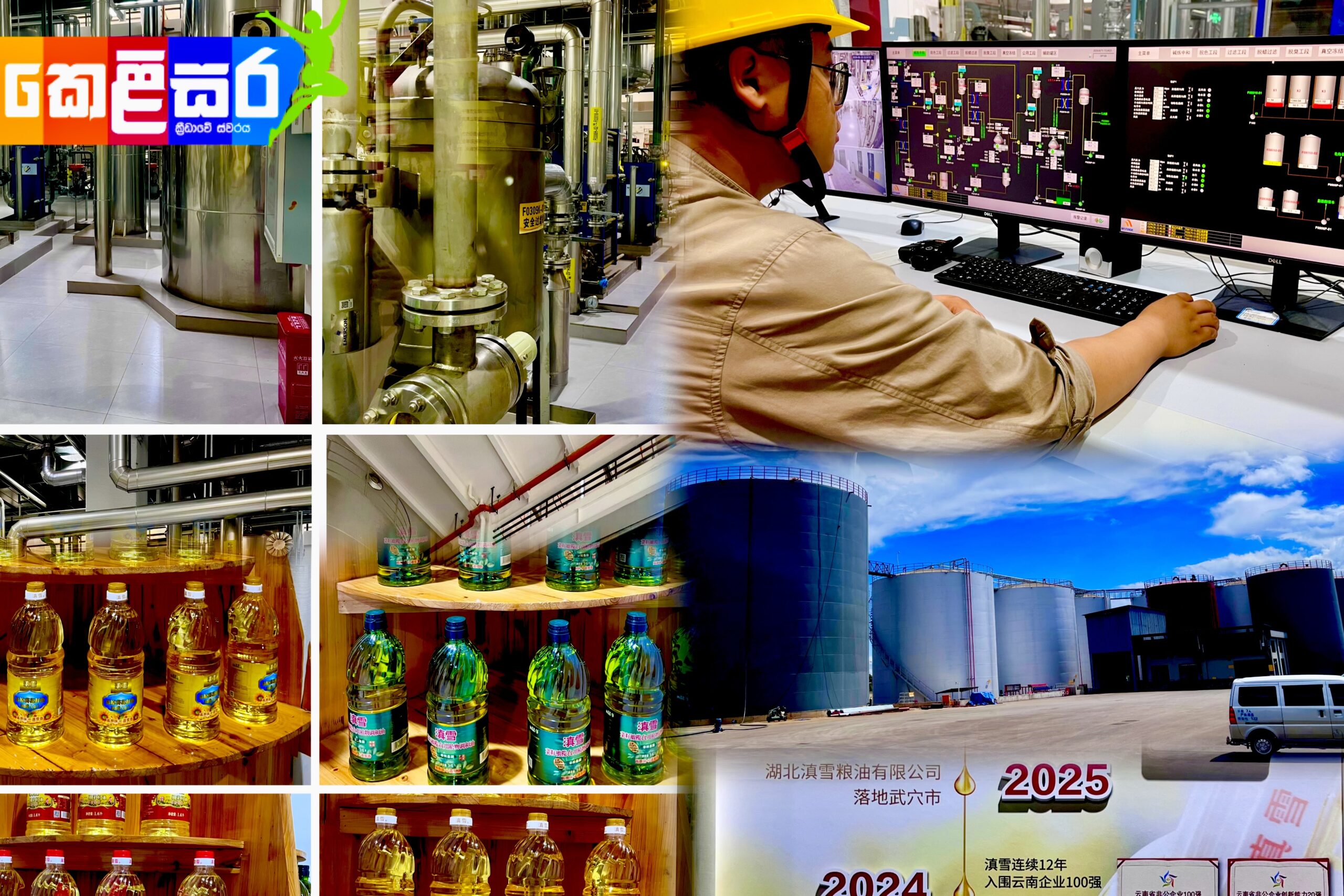 Central Yunnan Edible Oil Production Facility: A High-Efficiency Agro-Industrial Engine within the Logistics Hub