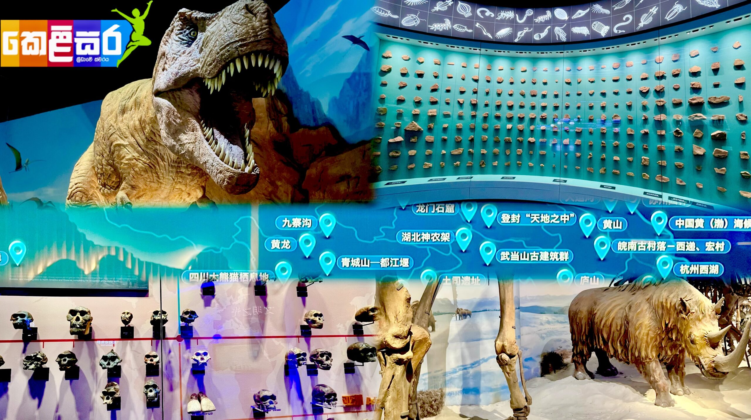 Chengjiang Fossil Site Continues to Reveal Earth’s Earliest Complex Life
